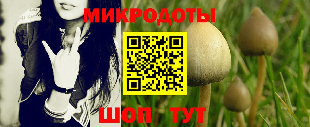 Псилоцибиновые грибы Psilocybe Изобильный